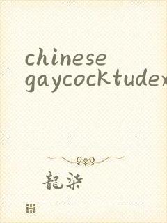 chinesegaycocktudexxx