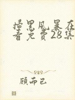 扫黑风暴在线观看免费28集封面