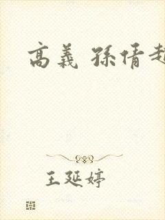 高义 孙倩赵敏