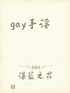 gay手淫