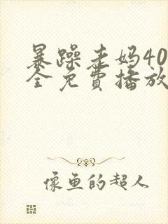 暴躁老妈40集全免费播放电视剧