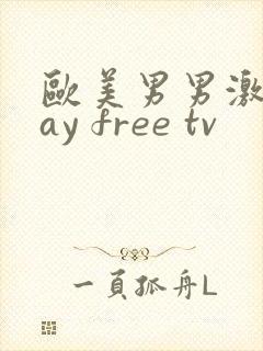 欧美男男激情gay free tv
