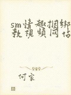 sm情趣捆绑调教视频网站