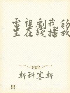 电视剧我的后半生在线播放