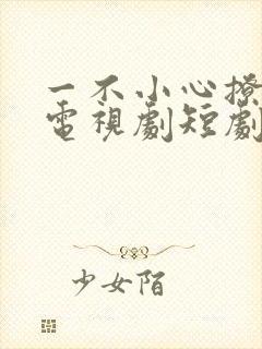 一不小心撩错人电视剧短剧封面