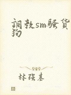 调教sm骚货母狗