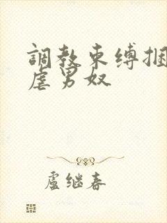 调教束缚捆绑私虐男奴封面