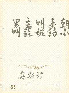 男主叫秦朝女主叫苏婉的小说名字