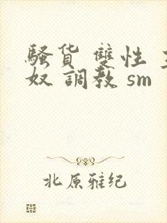 骚货 双性 主奴 调教 sm