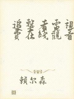 追击者电视剧免费在线观看