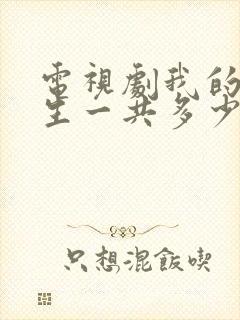 电视剧我的后半生一共多少集