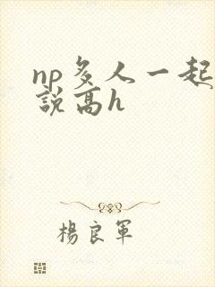 np多人一起小说高h