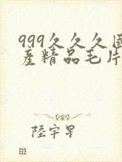 999久久久国产精品毛片