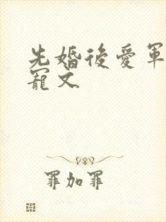 先婚后爱军婚甜宠文