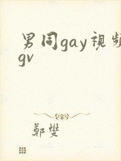 男同gay视频gv