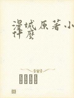 漫城原著小说叫什么