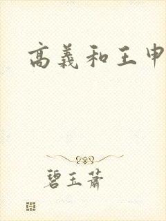 高义和王申小说
