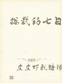 总裁的七日恋人