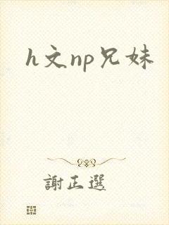 h文np兄妹封面