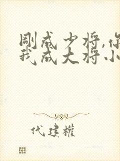 刚成少将,你让我成大将小说阅读