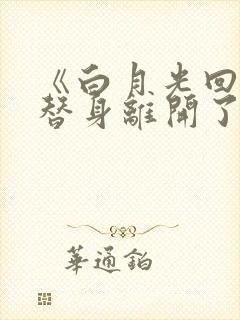 《白月光回来后替身离开了》封面