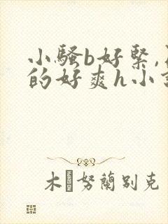 小骚b好紧,日的好爽h小说封面