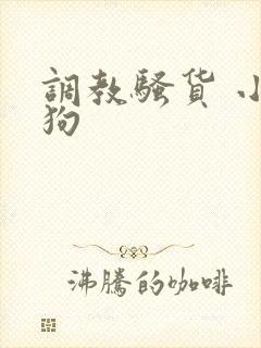 调教骚货 小母狗