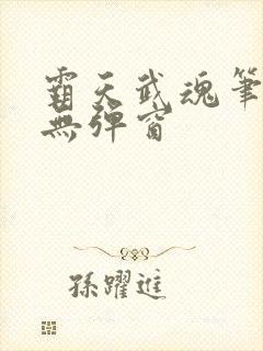 霸天武魂笔趣阁无弹窗