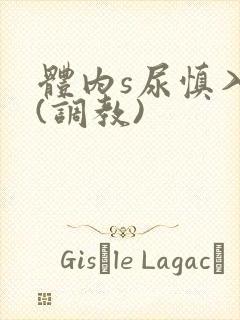 体内s尿慎入h(调教)