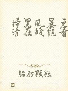 扫黑风暴免费高清在线观看电视剧