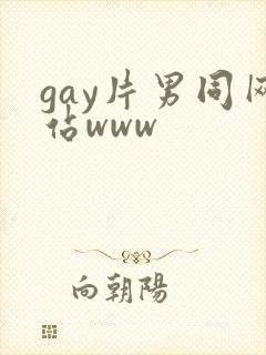 gay片男同网站www封面