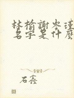 林榆谢岑瑾小说名字是什么封面