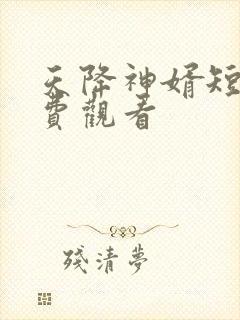天降神婿短剧免费观看