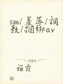 sm/羞辱/调教/捆绑av