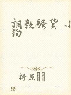 调教骚货 小母狗