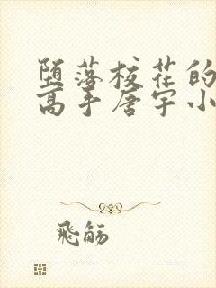 堕落校花的贴身高手唐宇小说