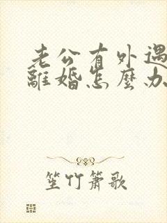 老公有外遇了要离婚怎么办