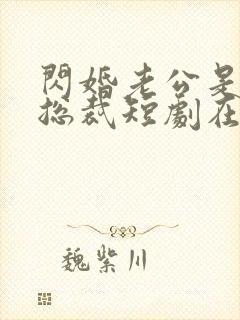 闪婚老公是亿万总裁短剧在线观看