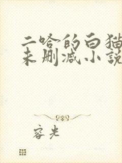 二哈的白猫师尊未删减小说