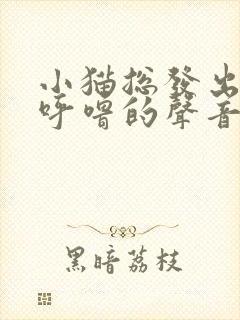 小猫总发出呼噜呼噜的声音怎么回事