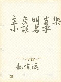 主角叫肖乐林浩小说名字
