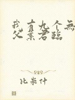 我有九个无敌师父叶君临封面