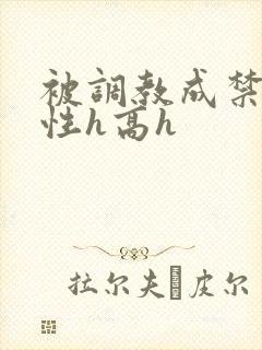 被调教成禁脔双性h高h
