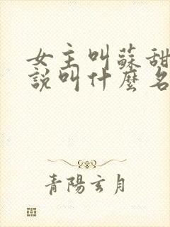 女主叫苏甜的小说叫什么名字
