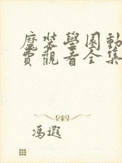 魔装学园动漫免费观看全集