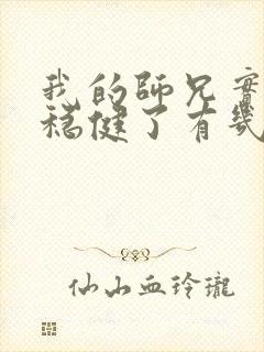 我的师兄实在太稳健了有几个女主
