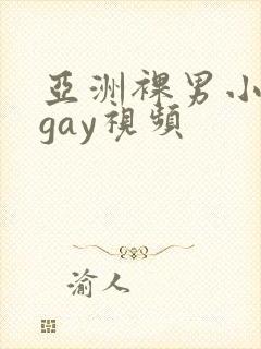 亚洲裸男小鲜肉gay视频封面