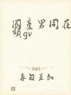 国产男同在线视频gv