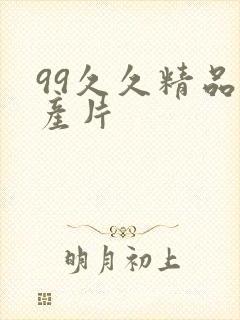 99久久精品国产片