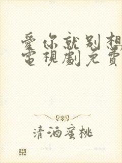 爱你就别想太多电视剧免费观看全集封面